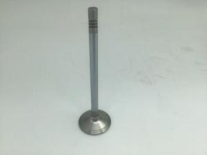Inlet Valve