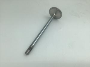Liebherr Inlet Valve
