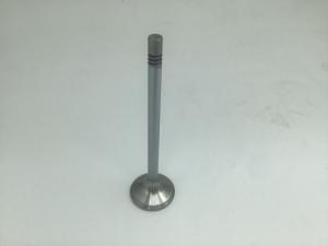 Exhaust Valve